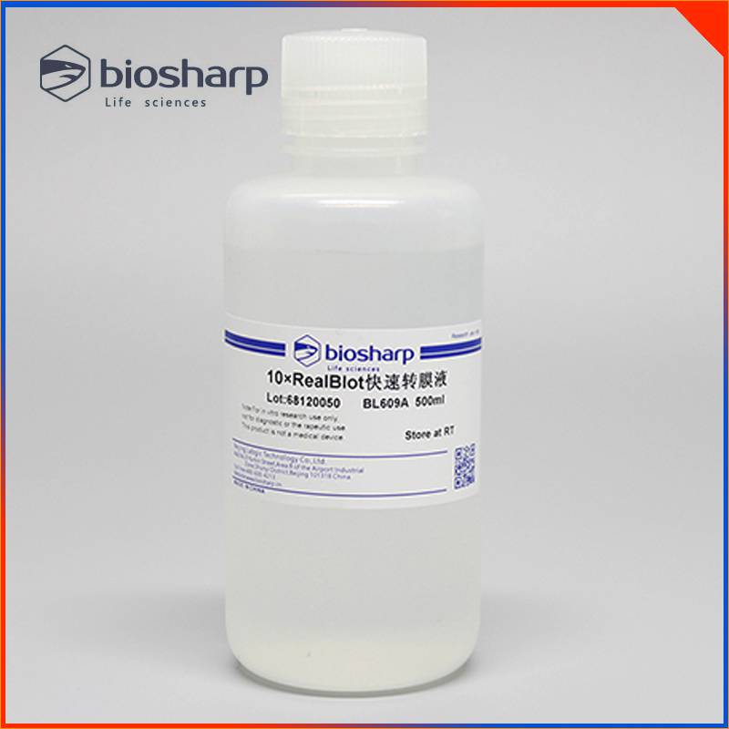Biosharp轉膜液試劑 10×RealBLot快速轉膜液 白鯊易實驗耗材
